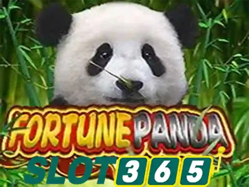 Tại sao chọn Slot365
