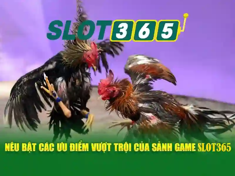 Khuyến mãi và ưu đãi