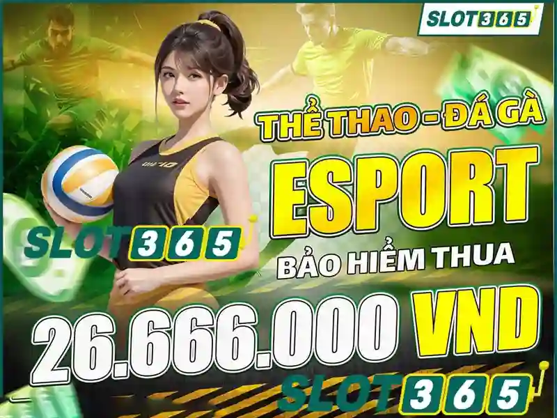 An toàn và bảo mật tại Slot365