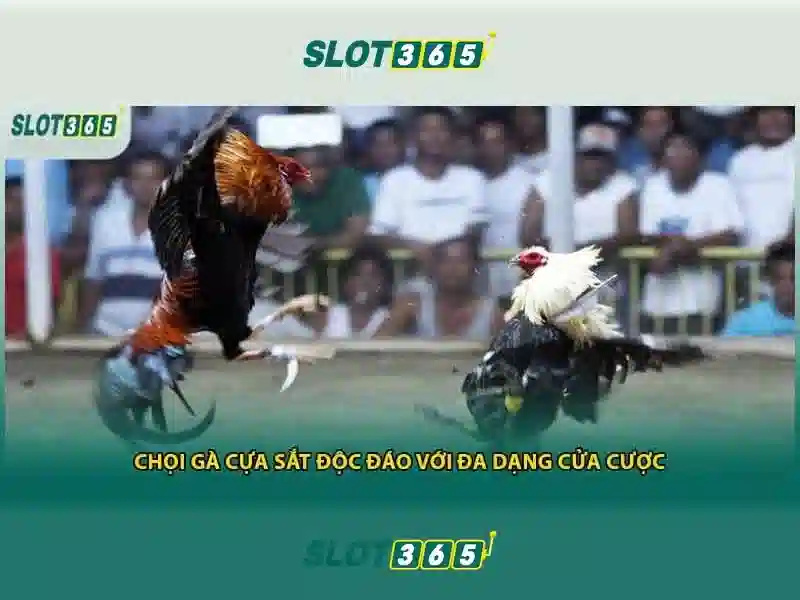 Slot365 - Nền tảng chơi slot trực tuyến an toàn và đáng tin cậy