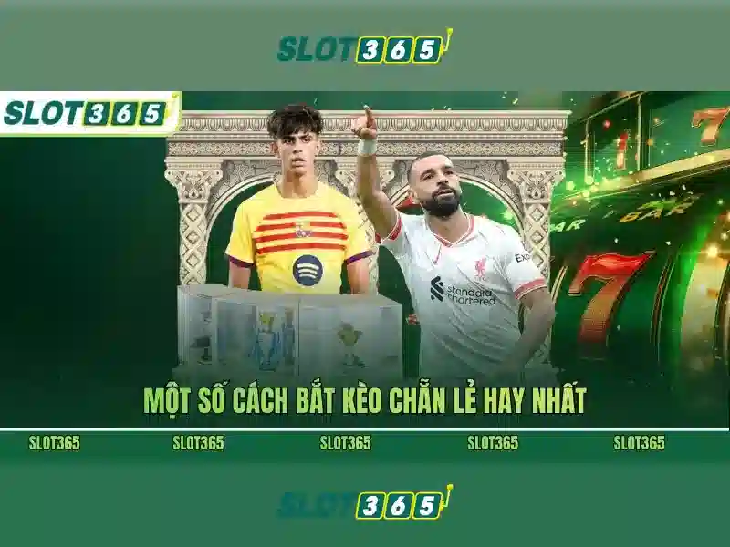 Slot365: Nền tảng chơi slot trực tuyến đáng tin cậy và thú vị