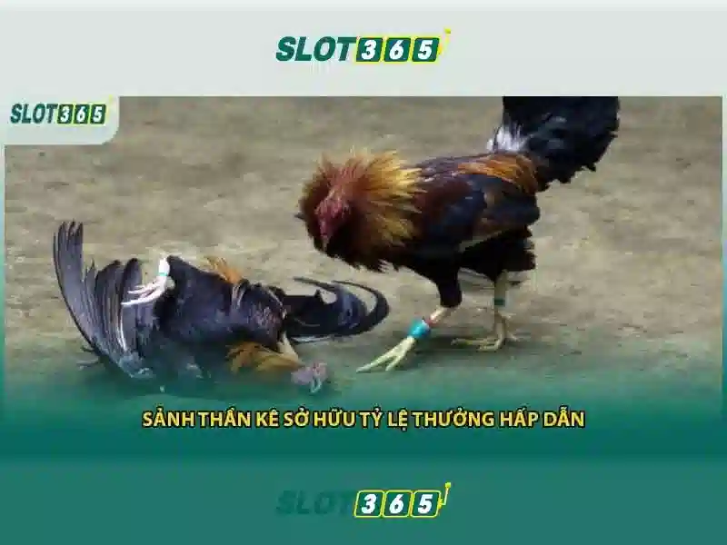 Trải nghiệm người dùng và giao diện
