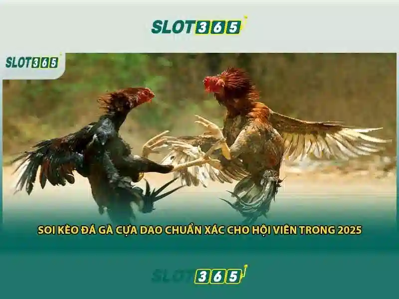Slot365 — Trải nghiệm casino trực tuyến và slot hiện đại