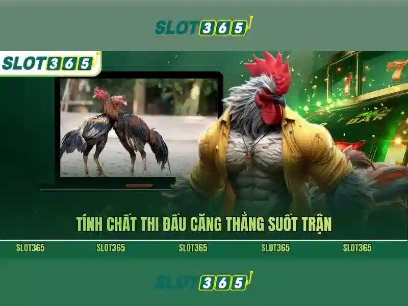 chien-luoc_slot365