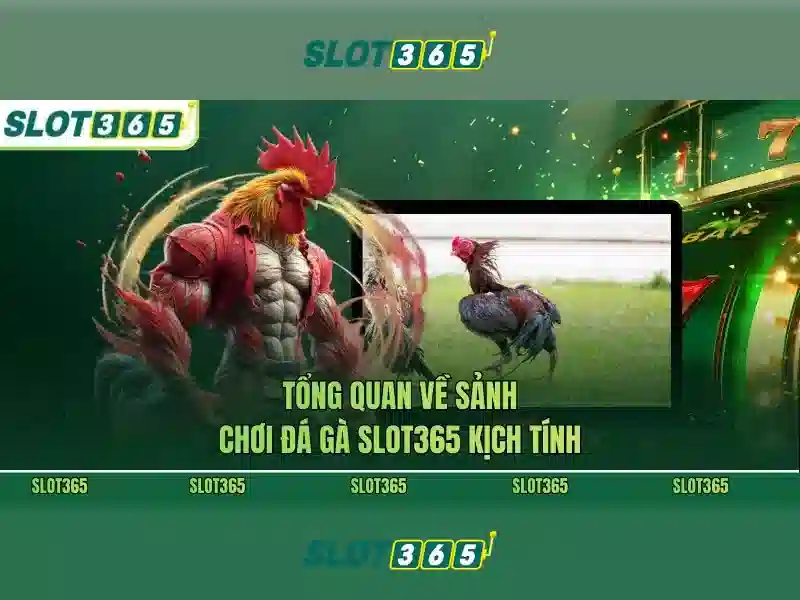 Slot365: Hướng dẫn và đánh giá nền tảng slot trực tuyến hiện đại