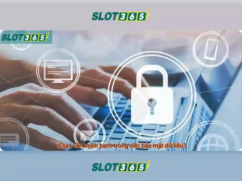 Slot365: Đánh giá và Trải nghiệm