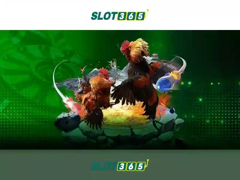 Slot365 – Đánh giá nền tảng chơi máy đánh bạc trực tuyến