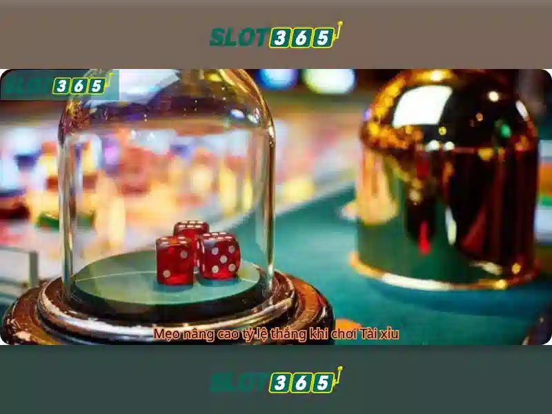 Slot365: Trải nghiệm chơi slot trực tuyến tối ưu