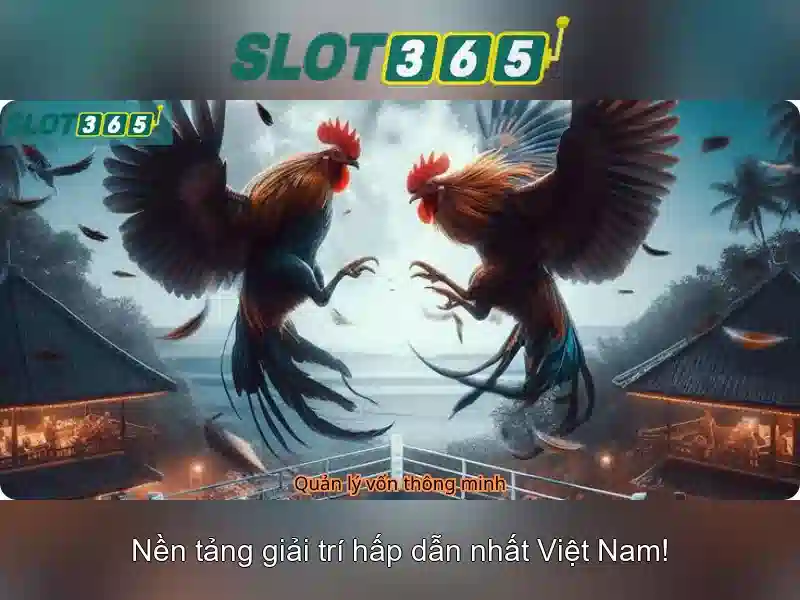 Ưu điểm nổi bật của Slot365