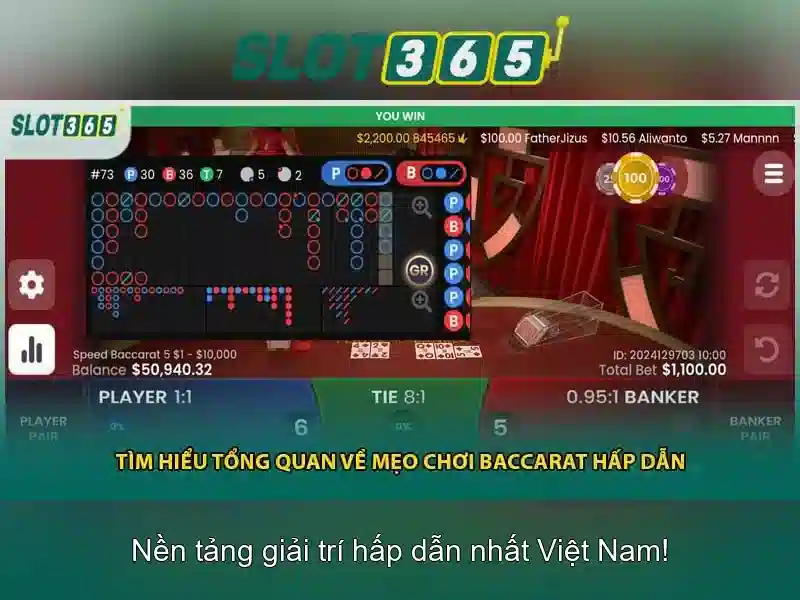 Tổng quan về Slot365