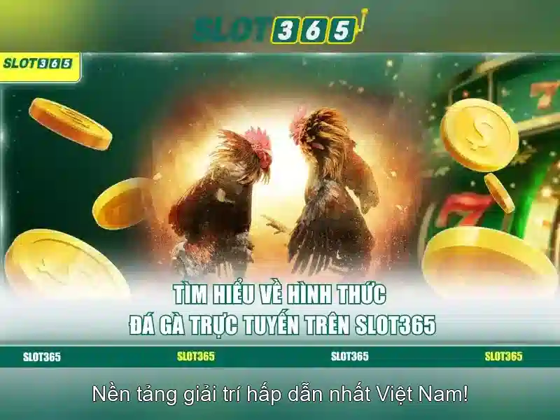 Slot365 - Nền tảng chơi Slot Trực tuyến hàng đầu