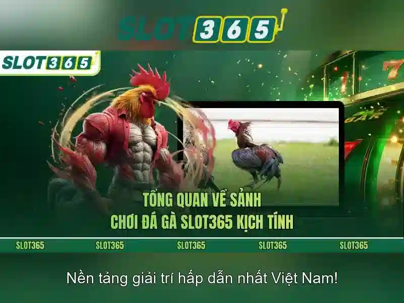 Lợi ích khi chơi trên Slot365