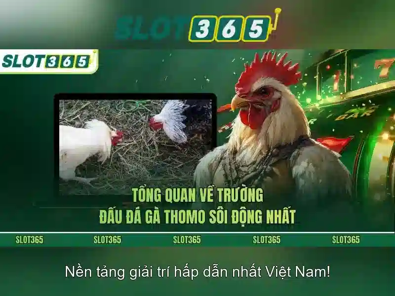 Tại sao Slot365 được ưa chuộng?