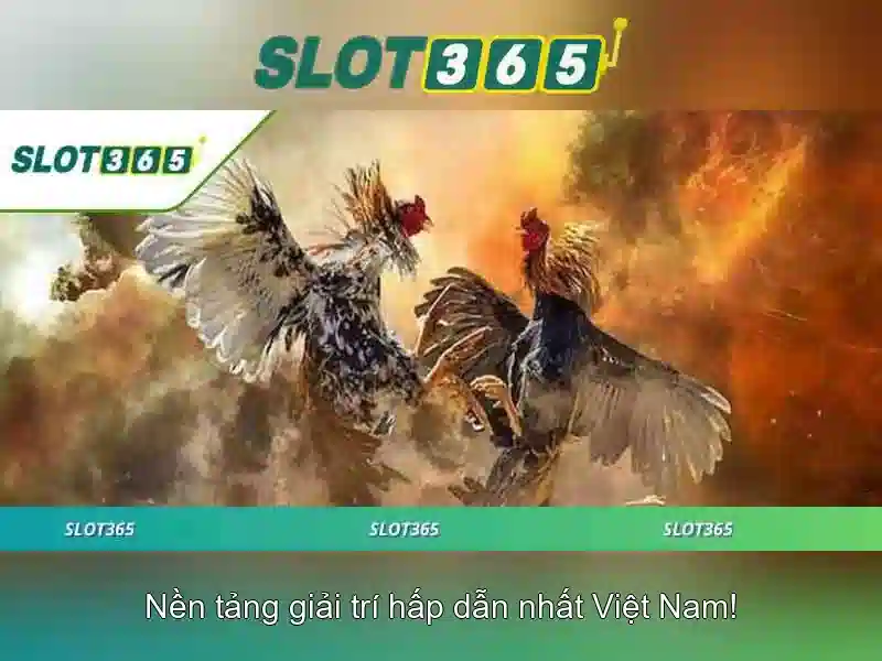 Slot365: Tổng quan về nền tảng casino trực tuyến