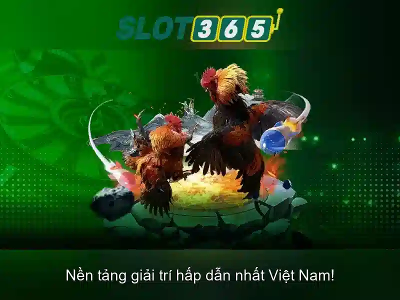 Slot365 - Nền tảng Slots hàng đầu