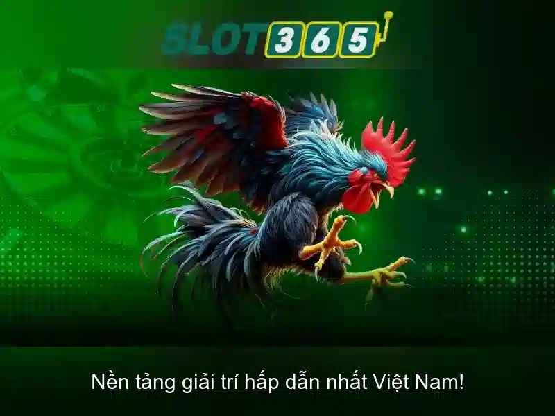 Slot365 — Trải nghiệm casino trực tuyến và slot hiện đại