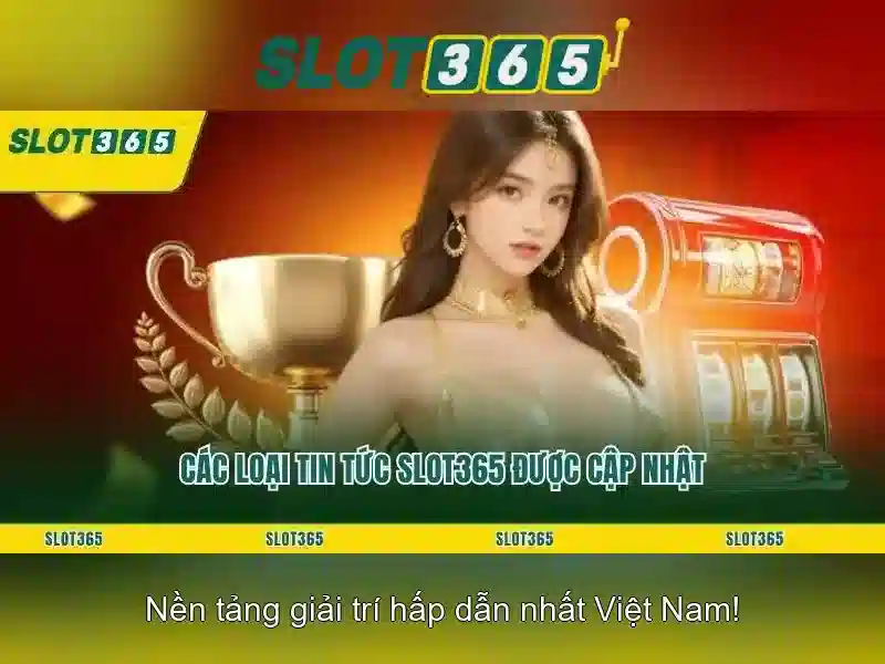 An toàn và cấp phép