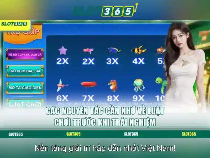 Khuyến mãi và ưu đãi