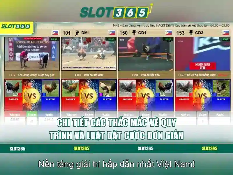 Slot365: Trải nghiệm casino slot trực tuyến hàng đầu