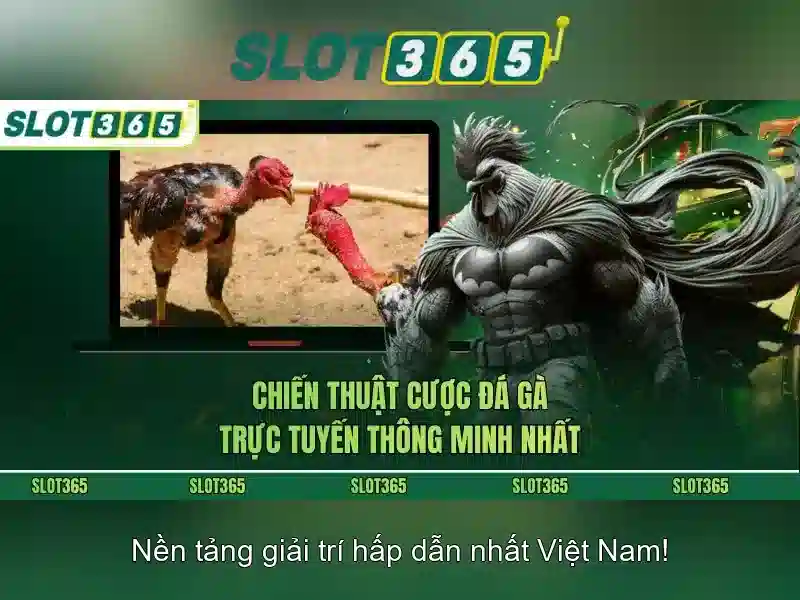 Giao diện người dùng và trải nghiệm di động