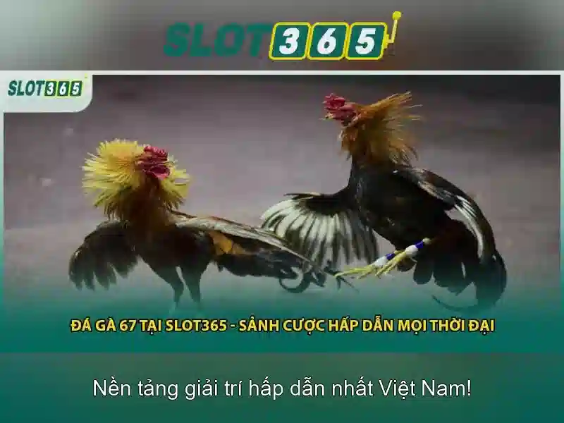 Slot365: Trải nghiệm máy đánh bạc trực tuyến đỉnh cao