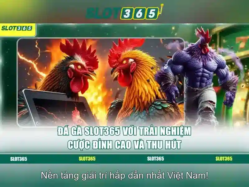Slot365: Khám phá sân chơi máy xè hiện đại