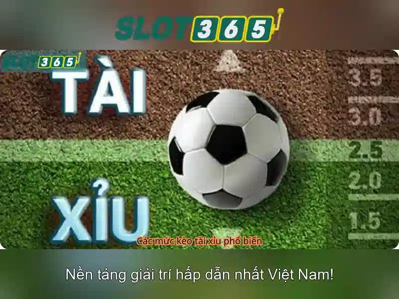 Trò chơi và khuyến mãi
