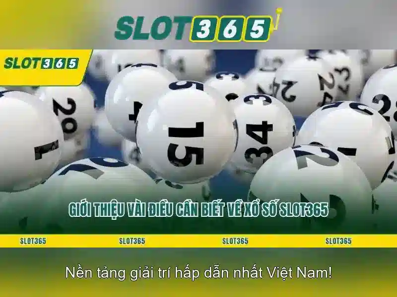 Slot365 là gì và những điều bạn nên biết