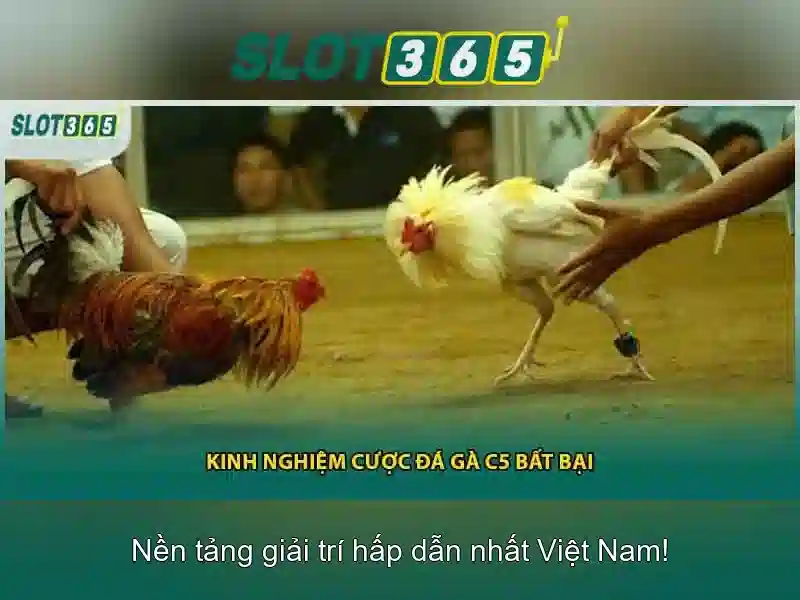Giới thiệu về Slot365