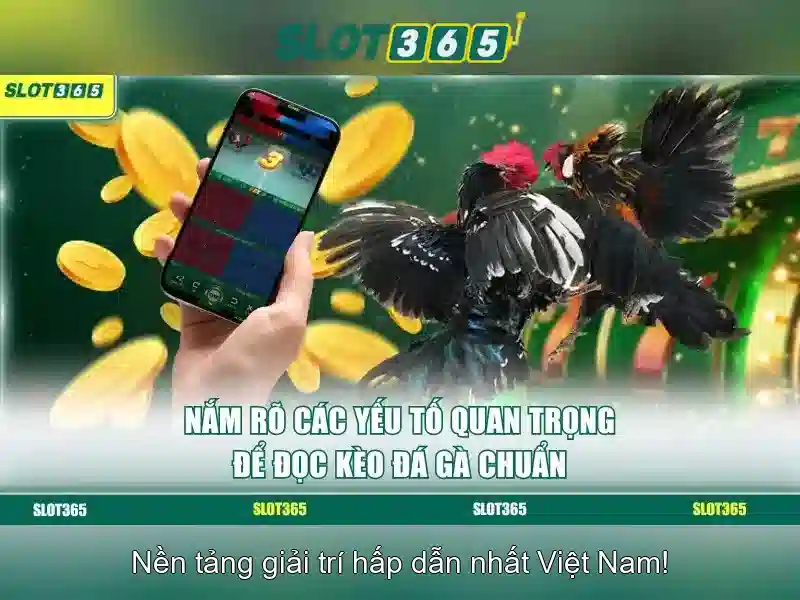 Slot365 – Nền tảng máy slot trực tuyến phổ biến tại Việt Nam