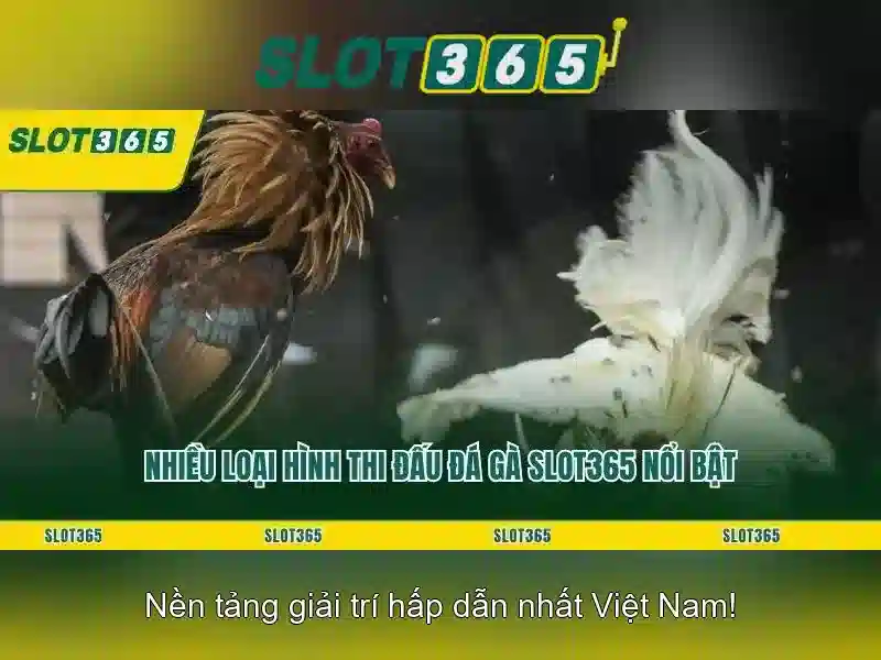 Slot365 – Nền tảng đánh bạc trực tuyến hiện đại và đáng tin cậy