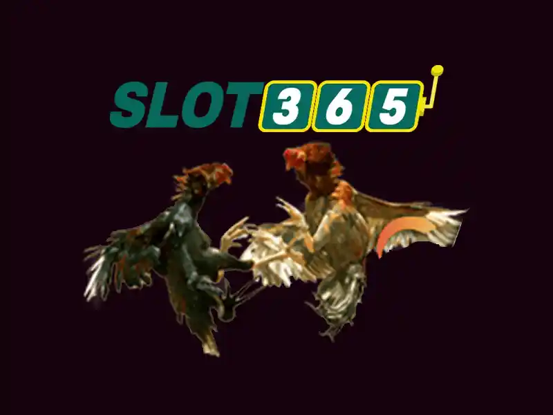 Chinh sach mien tru trach nhiem tai Slot365