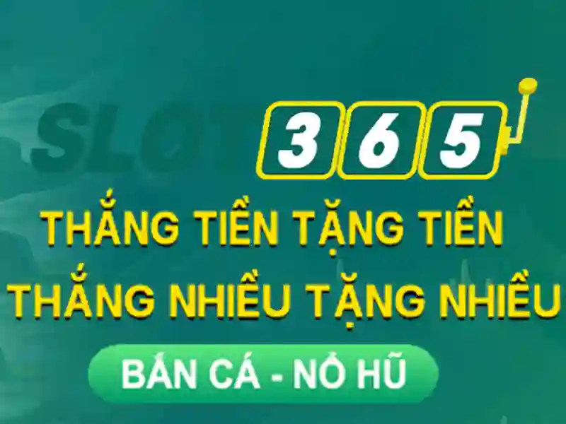 Slot365 - Nền tảng giải trí xèng trực tuyến