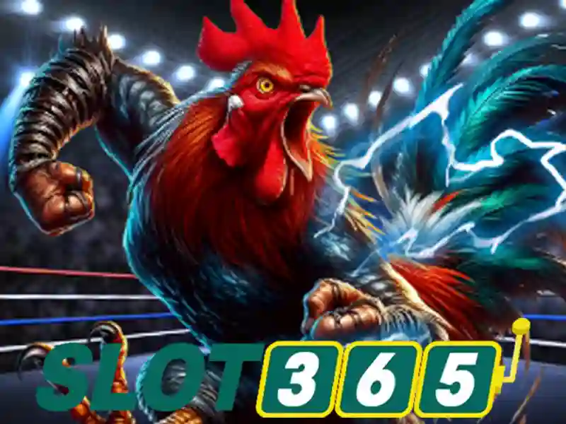 Slot365: Tổng quan và Đánh giá