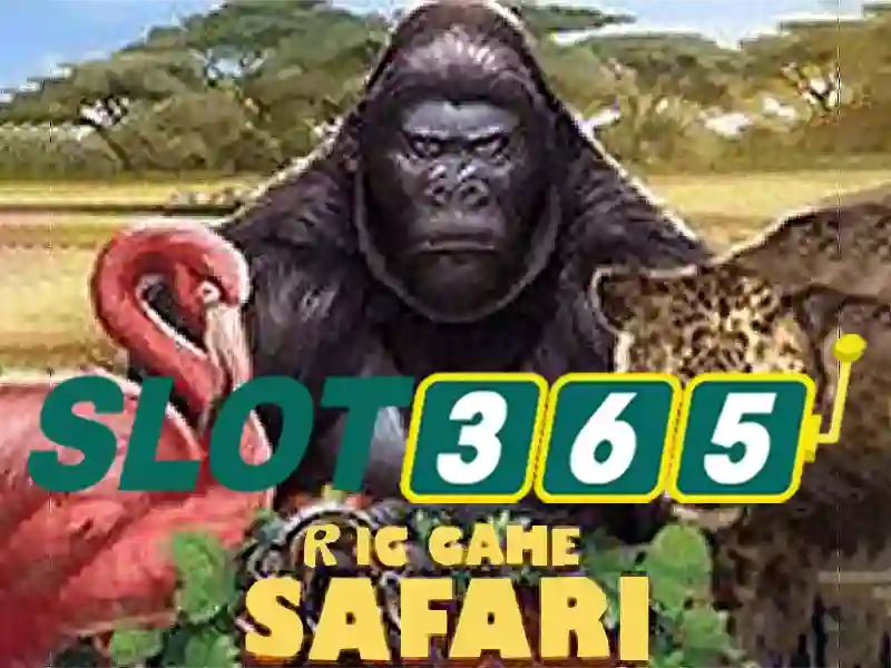 Slot365 – Tổng quan về nền tảng chơi slot trực tuyến